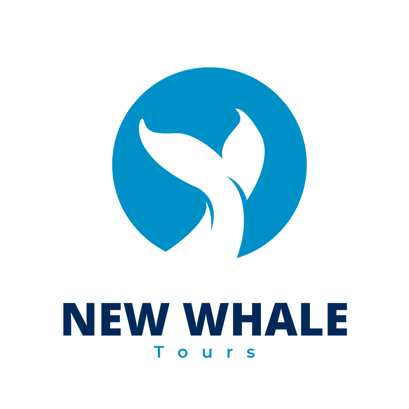 New Whale Tours