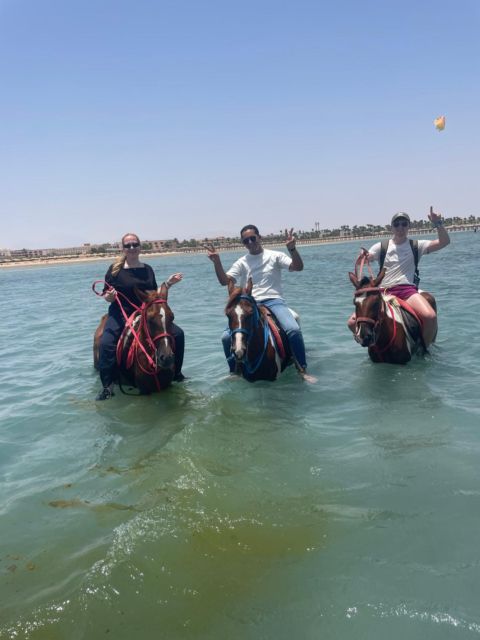 Explore The Desert &The Sea on a Horse Riding Cruise in Hurghada