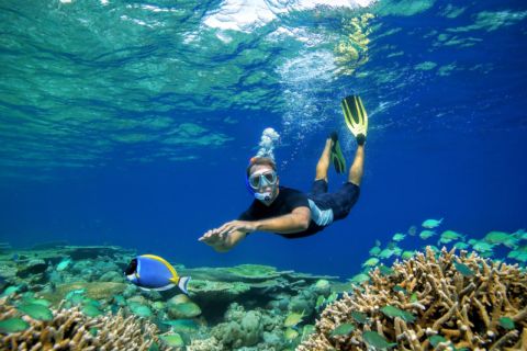 Abu Dabbab Beach Full Day Trip with Snorkeling