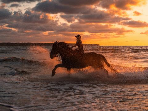 Marsa Alam: Sea and Desert Horse Riding Tour
