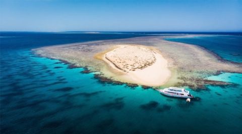 Marsa Alam: Dolphin House Adventure at Shaab Samadai Reef