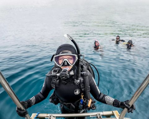 Sharm: Shore diving in Naama Bay