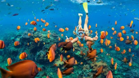 Sharm: Ras Mohamed National Park Trip Snorkelling Trip