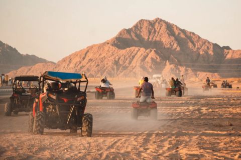 Sharm El Sheikh Desert Safari with Quad or Buggy, Dinner and Show