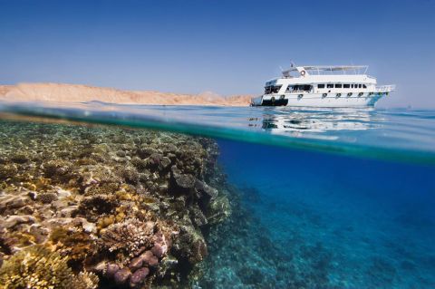 Sharm: Tiran Island Yacht Excursion from Sharm El Sheikh