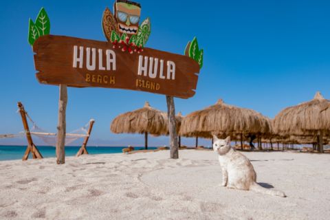 Hurghada: Hula Hula Island Adventure with Snorkeling with Lunch & Transfer