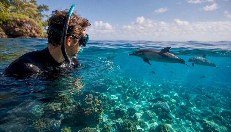 Snorkeler closely watching dolphins underwater
