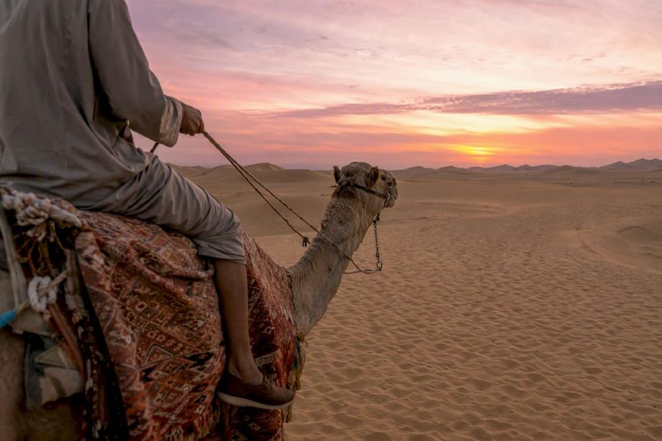 Camel riding on desert dunes at sunset